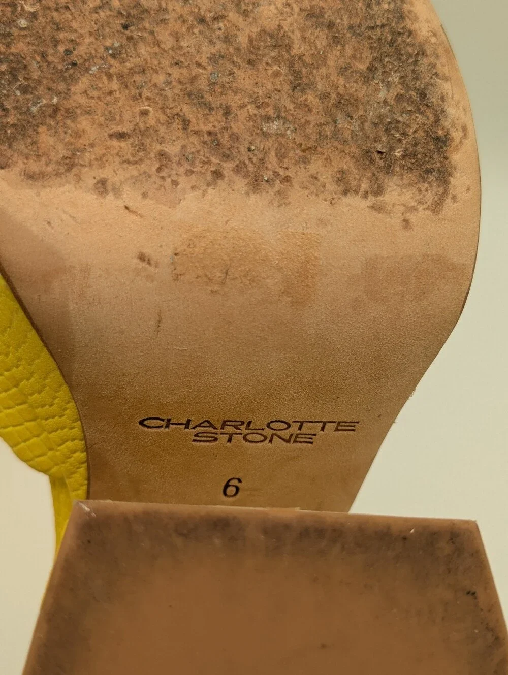 Charlotte Stone • Fran Mary Jane Platform Heels